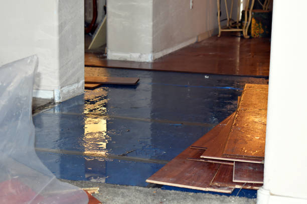 Professional Water Damage Restoration technician working in Benton, IL